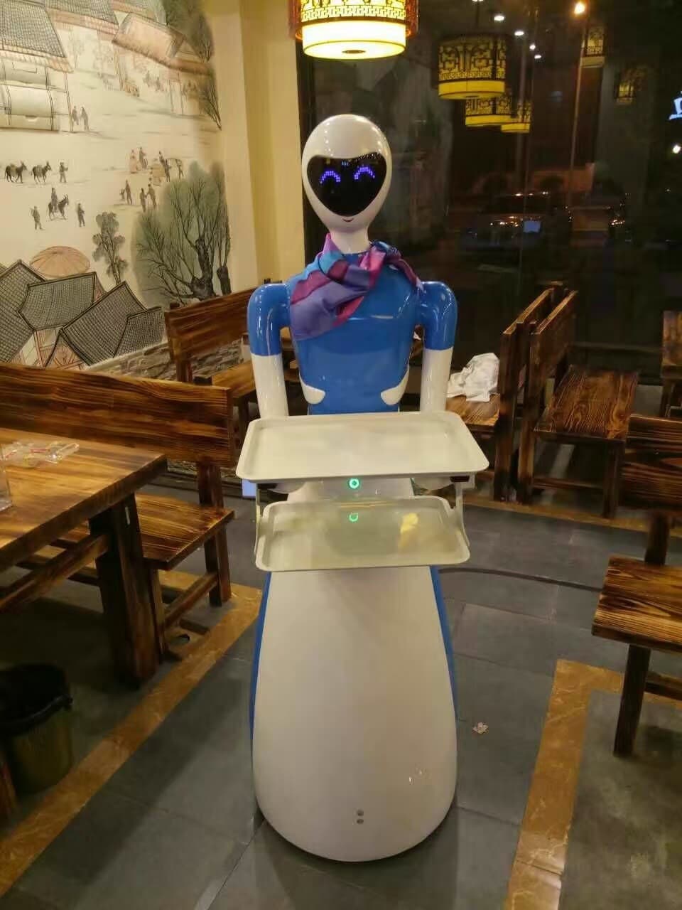 Restaurant service Robot